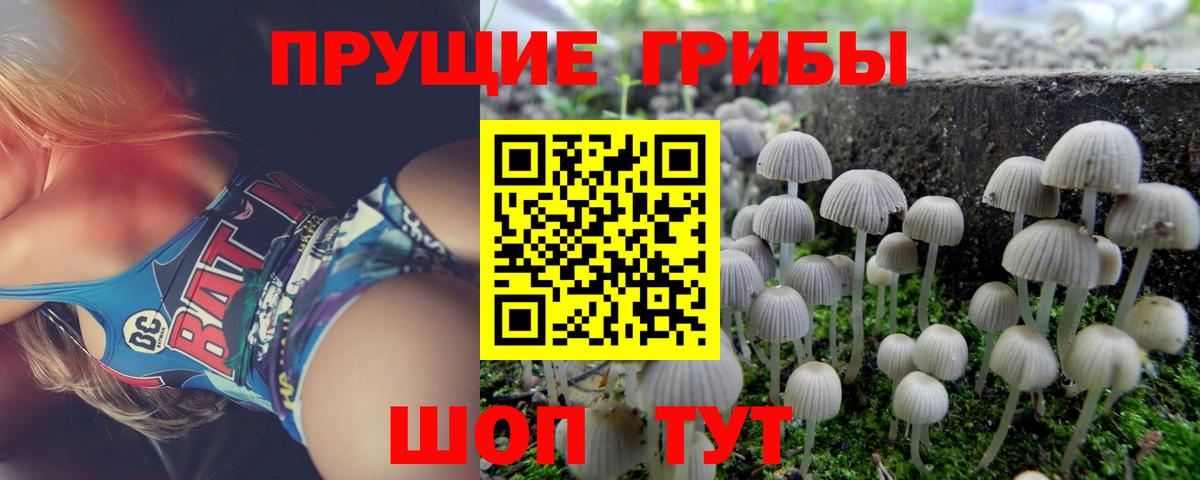 Галлюциногенные грибы Psilocybine cubensis  Вход с VPN  Галлюциногенные грибы мухоморы  Дагестанские Огни 
